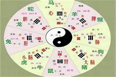 勝字五行|胜字的五行属性